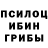 Галлюциногенные грибы Magic Shrooms Cherkes Cherkesov
