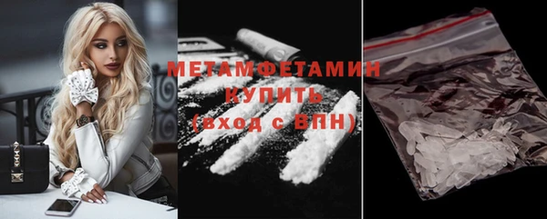 метадон Богданович