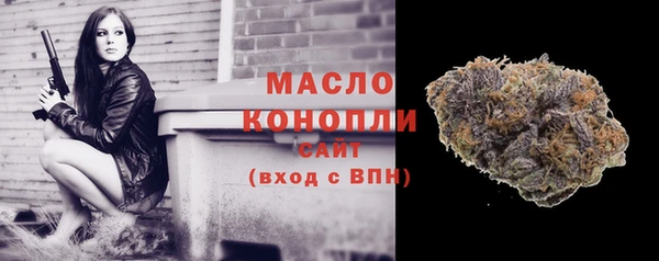 mix Богородицк