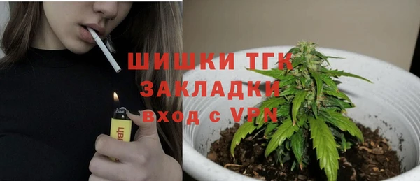 метадон Богданович