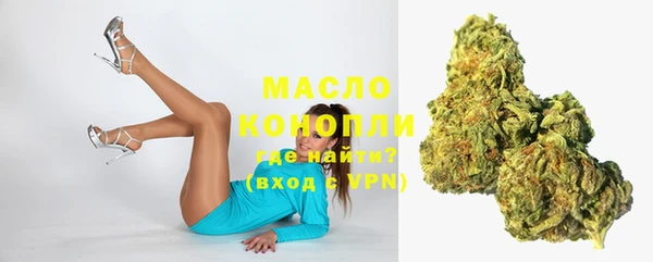 mix Богородицк