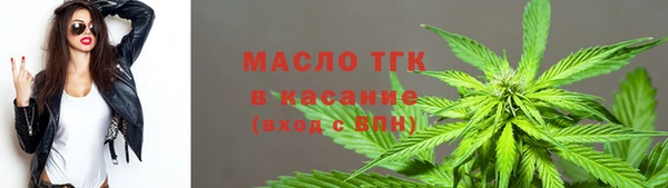 mix Богородицк