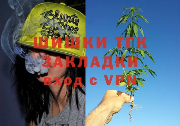 mix Богородицк