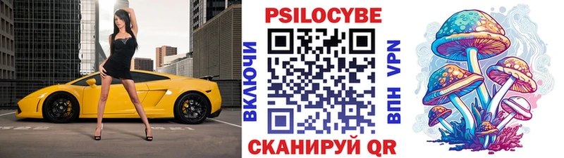 Купить закладки  Нурлат  Псилоцибиновые грибы мухоморы 